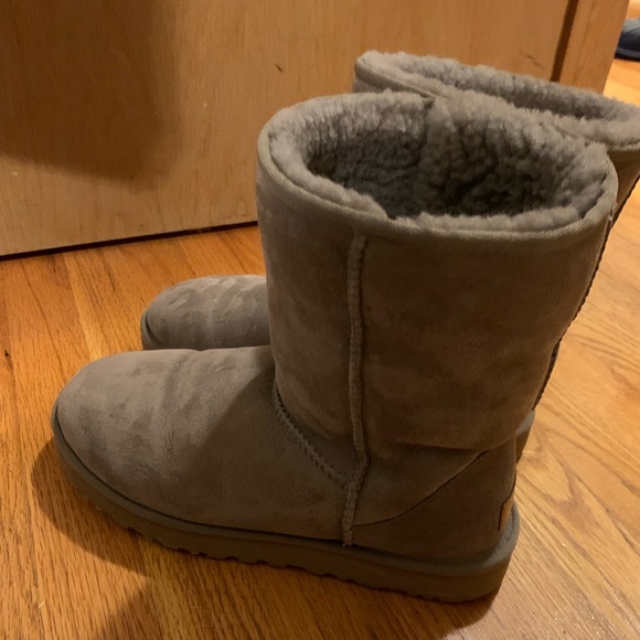 Rare Classic Short II Uggs - Picture 4 of 5